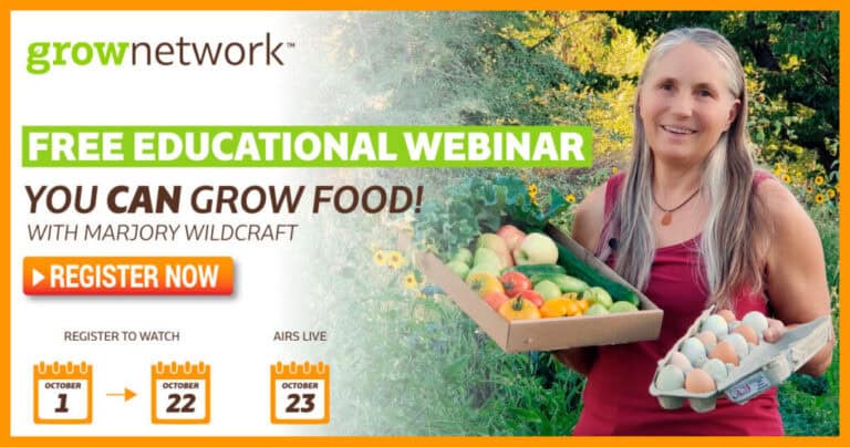 Admin Slot Resmi RTP Tertinggi